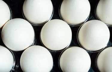 Close up of some white eggs