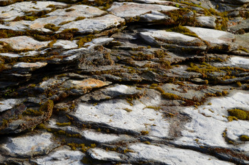 Rocks and mosses in dry river bed in the mountains