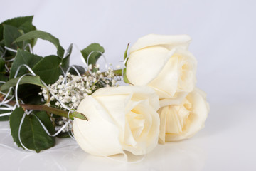 Fototapeta na wymiar White roses
