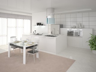 Comfortable modern kitchen in the style of minimalism.