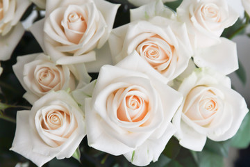 White roses