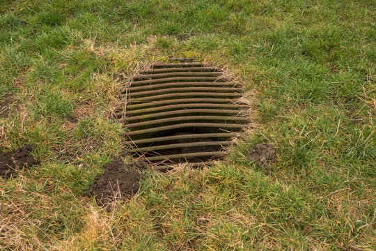 Sewer Grate On The Lawn - Drainage For Heavy Rain