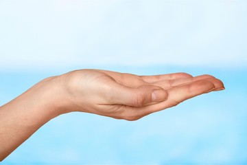 Human Hand.