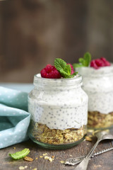 Chia pudding with oat and berries.