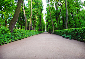 Summer garden in Saint-Petersburg