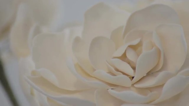 Pan to white fondant flower rose