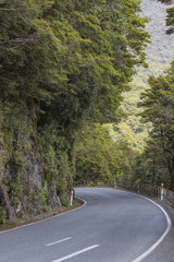 milford road along cleddau valley with the view of fiordland nat
