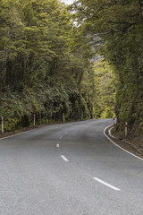 milford road along cleddau valley with the view of fiordland nat