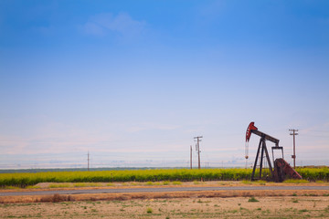 Fototapeta na wymiar Panoramic view of California and its oil industry