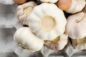Garlic background