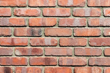 Brick wall texture