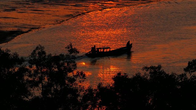 Fishermen were sailing in estuaries after catch fish in the sea at sunset, Ranong, Thiland.