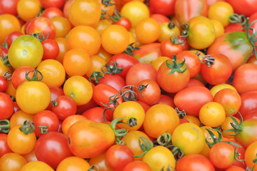 Cherry tomato vegetables