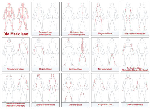 Body meridians - GERMAN LABELING - Schematic diagram with main acupuncture meridians and their directions of flow. Isolated vector illustration on white background.