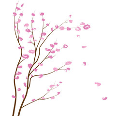 Zen Peach tree flowers