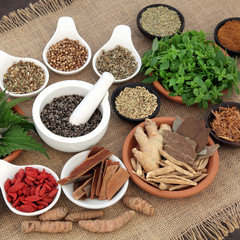 Healing Herbs for Men