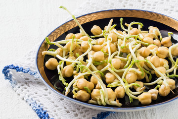 Sprouted chickpeas for cooking healthy food