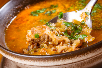 Kharcho. Spicy Georgian meat and vegetable soup