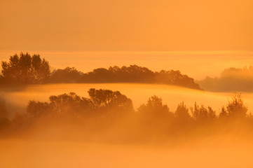Misty morning scene with trees and fog lit by rising sun.