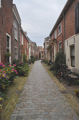 Fototapeta na wymiar A typical picturesque street in Haarlem Holland 