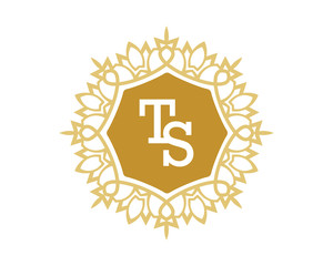 TS initial royal letter logo
