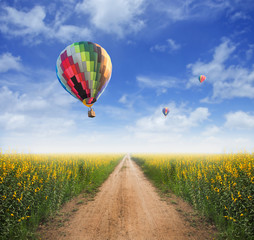 Hot air balloon over yellow flower fields