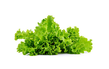 Obraz premium Fresh green lettuce on white background