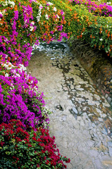 Naklejka premium Shaded path and flowers Puerto Vallarta Mexico