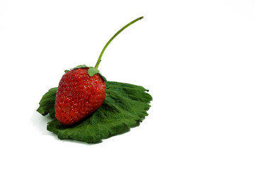 fresh strawberry on green leave