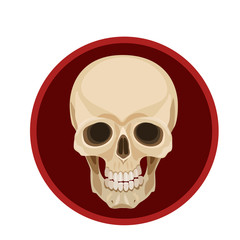 icon Human skull/ Icon human skull on a red background range for fans, for the icon and website  