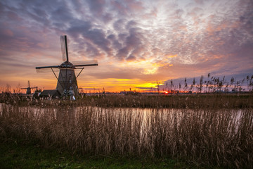 Windmills and water canal on sunset in Kinderdijk, Holland. - Powered by Adobe