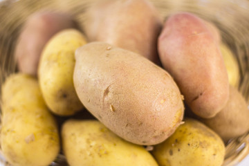 Sweet oraganic potato background