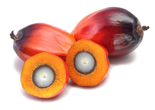 Oil Palm Fruit On White Background