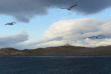Fototapeta na wymiar The lighthouse on the island of Magdalena.