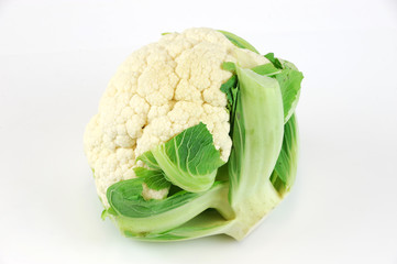 cauliflower on white background