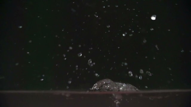 Ripe red bell pepper dropping into water in slow motion and floating against black background 