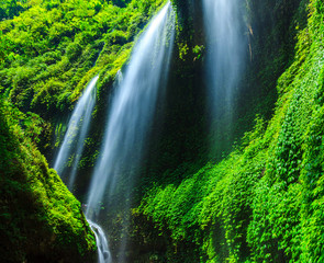 Fototapeta na wymiar Madakaripura Waterfall, East Java, Indonesia