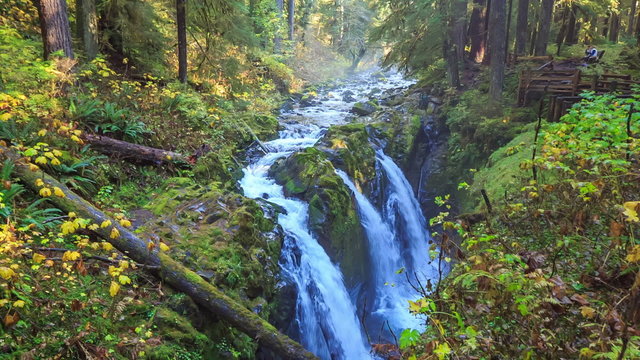 Sol Duc Falls, Olympic National Forest, WA., USA