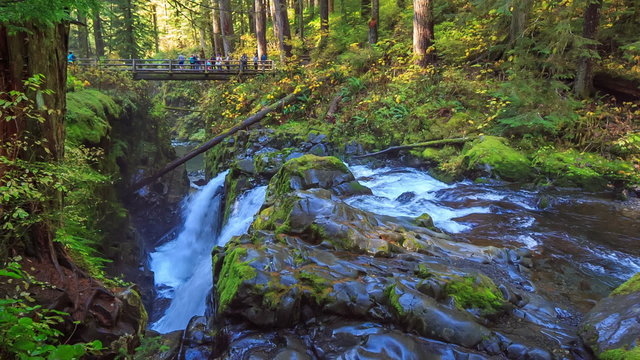 Sol Duc Falls, Olympic National Forest, WA., USA