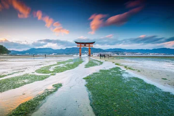 Foto op Plexiglas Miyajima, The famous Floating Torii gate, Japan. © SANCHAI