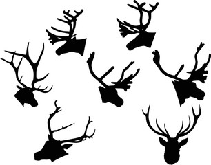 Fototapeta premium set of seven deer heads isolated on white