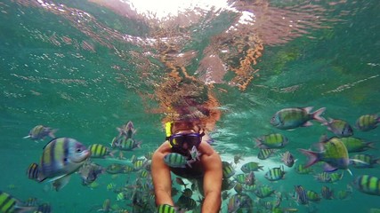 Man feeding fish. Underwater scene.