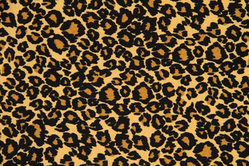 Foto op Aluminium texture of print fabric striped leopard for background © prasong.