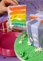 Slice of multi-layered rainbow cake