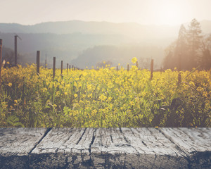 Vineyard in Spring with Vintage Instagram Film Style Filter