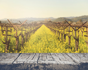 Vineyard in Spring with Vintage Instagram Film Style Filter