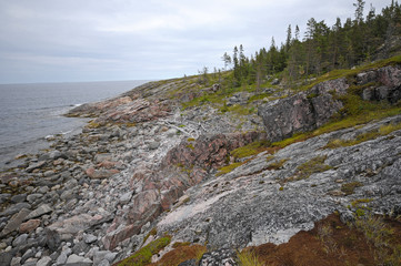 Red rocks on the low tide.