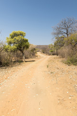Fototapeta na wymiar Botswana Desert Road