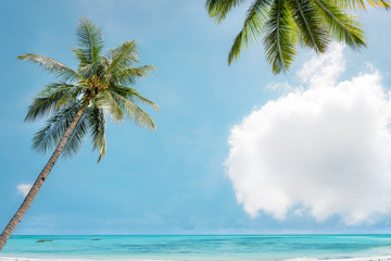 Coconut palm tree on tropical beach with sea and blue sky in summer