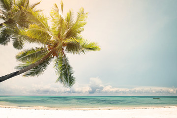 Landscape vintage nature background of coconut palm tree on tropical beach coast with sunlight in summer, retro effect filter